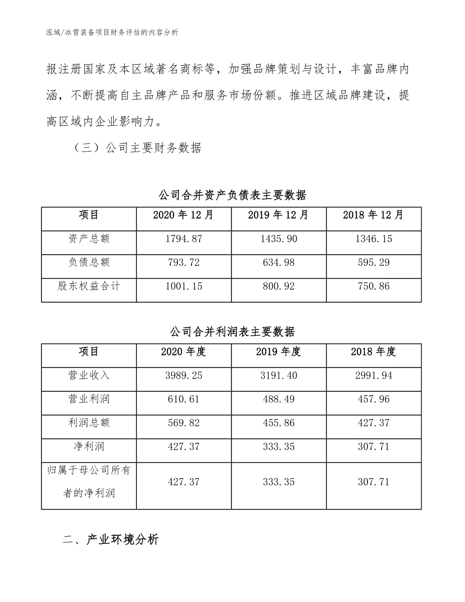 冰雪装备项目财务评估的内容分析（范文）_第4页