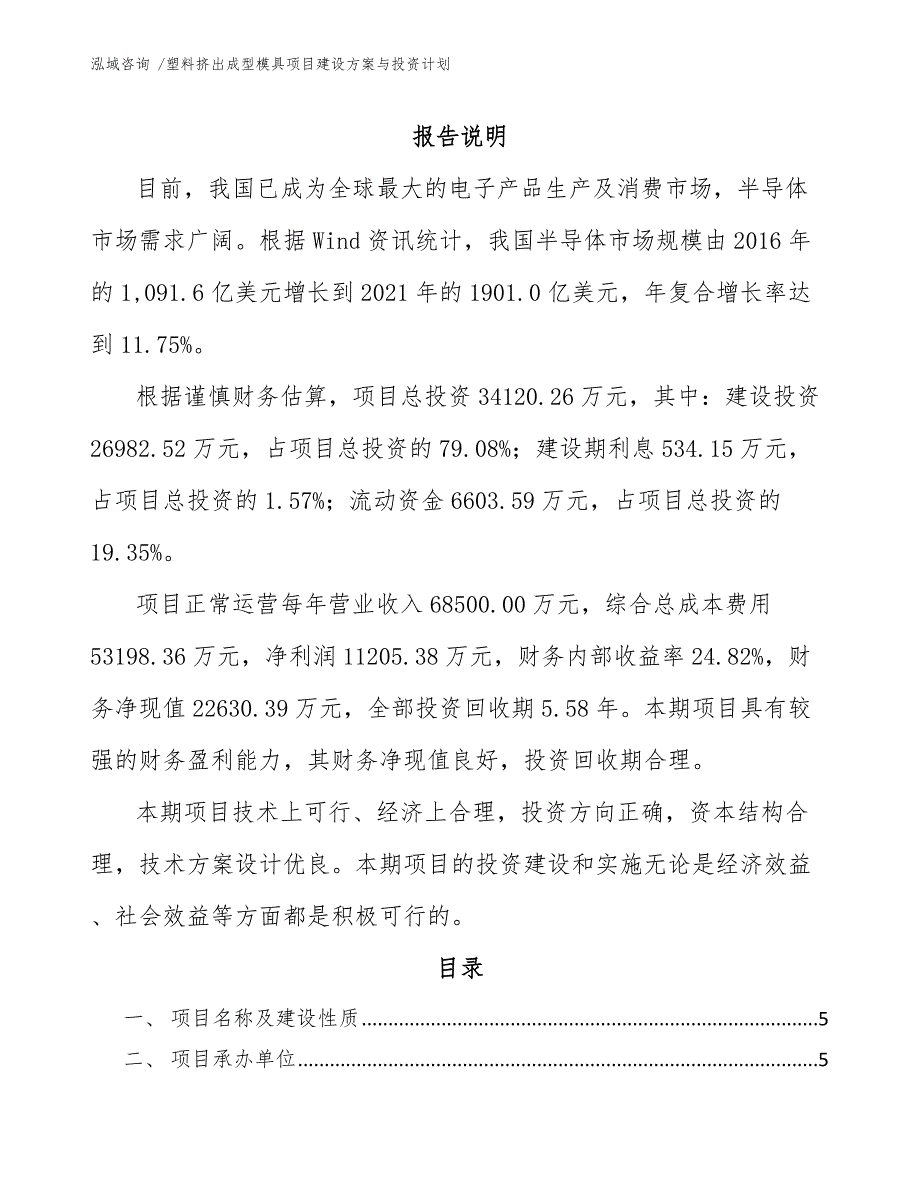 塑料挤出成型模具项目建设方案与投资计划-（范文）_第2页