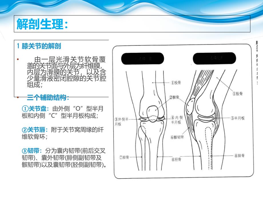 《退行性膝关节病变》PPT课件_第4页