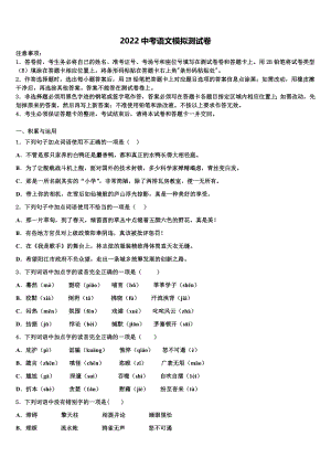 2022年广东省揭西县第三华侨中学中考语文全真模拟试题(含答案解析）