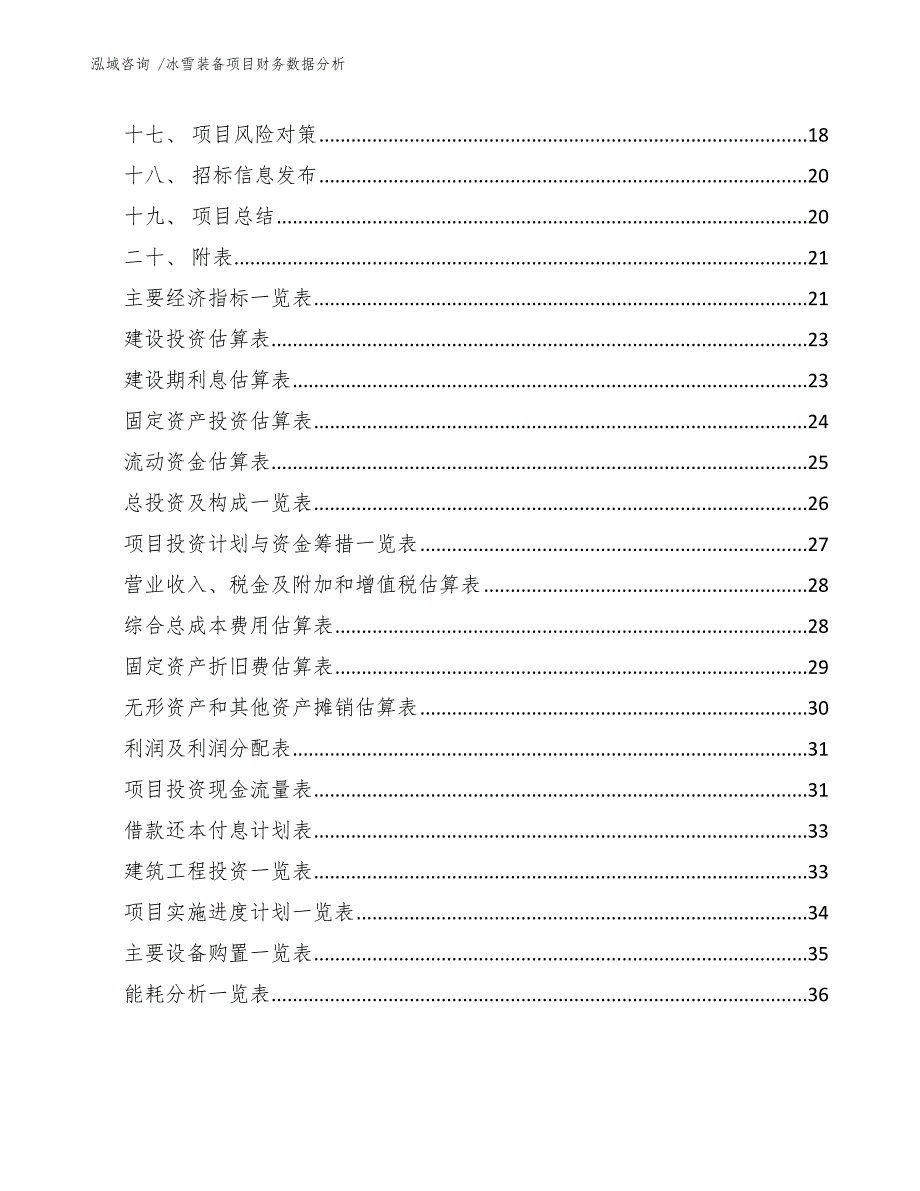 冰雪装备项目财务数据分析-模板范文_第3页