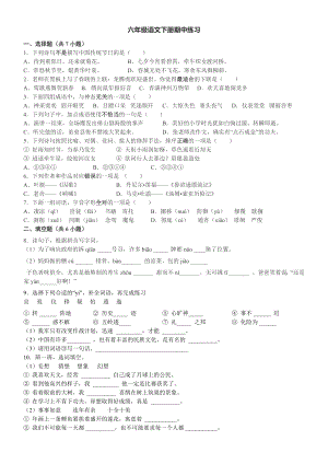 六年级语文下册期中练习