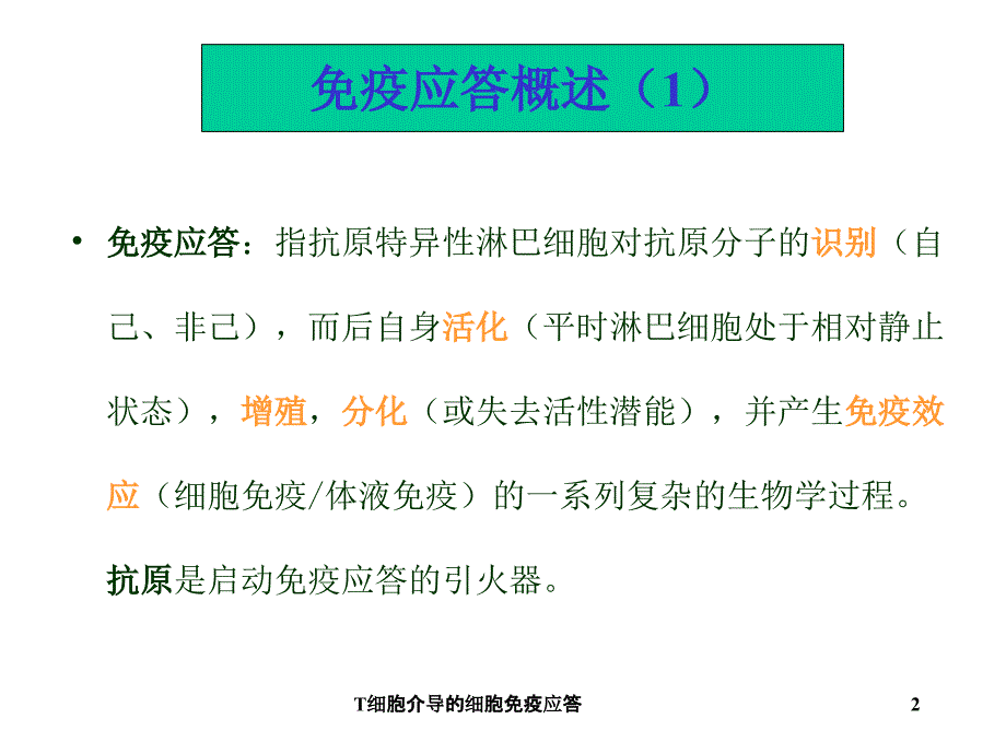 T细胞介导的细胞免疫应答课件_第2页