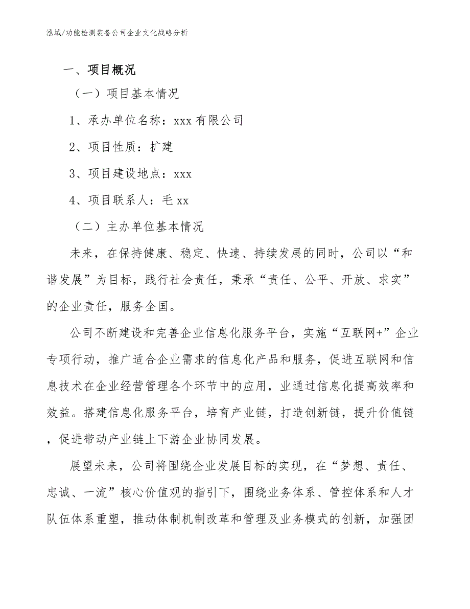 功能检测装备公司企业文化战略分析_参考_第2页