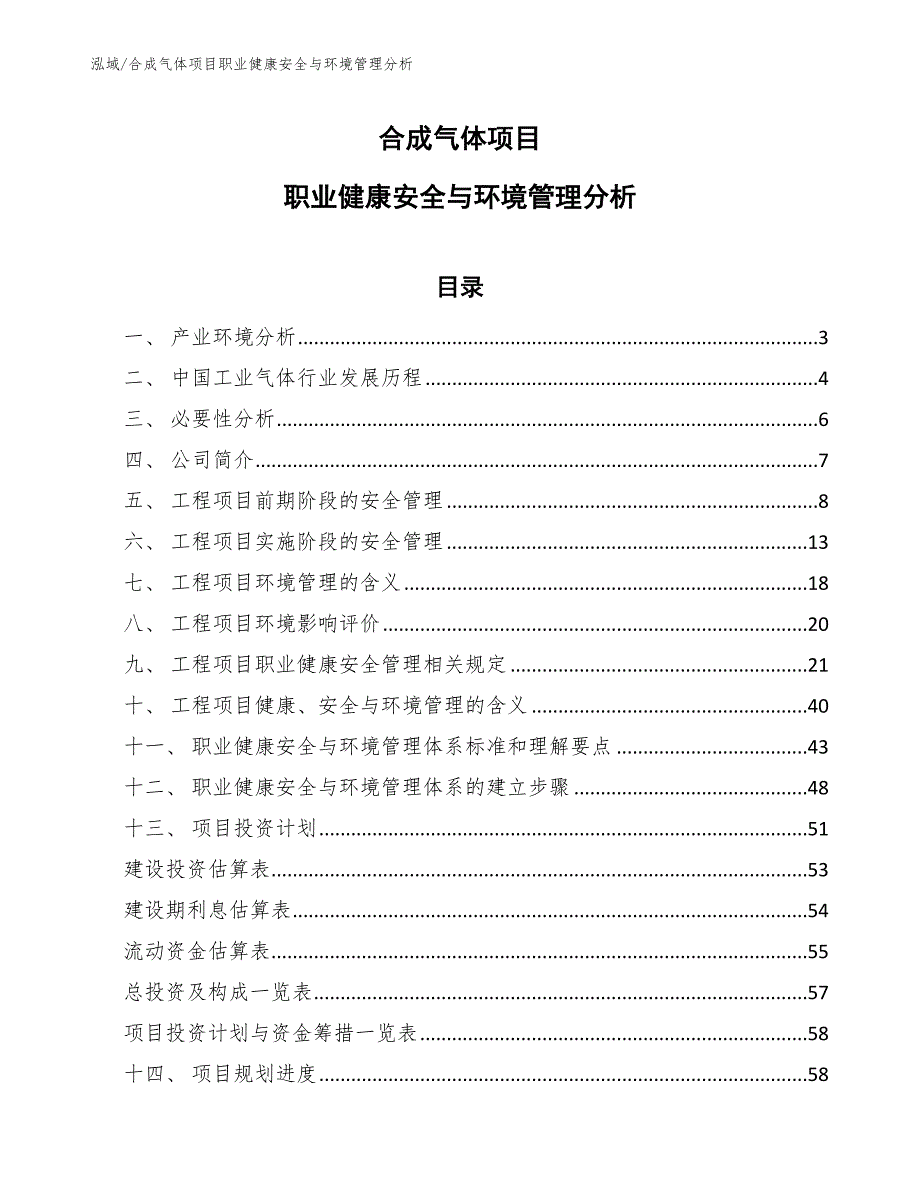 合成气体项目职业健康安全与环境管理分析【范文】_第1页