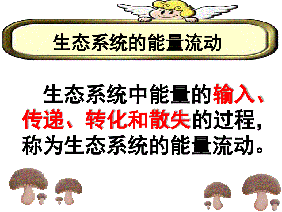 生态系统的能量流动完美版课件_第3页