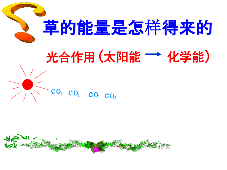 生态系统的能量流动完美版课件_第4页