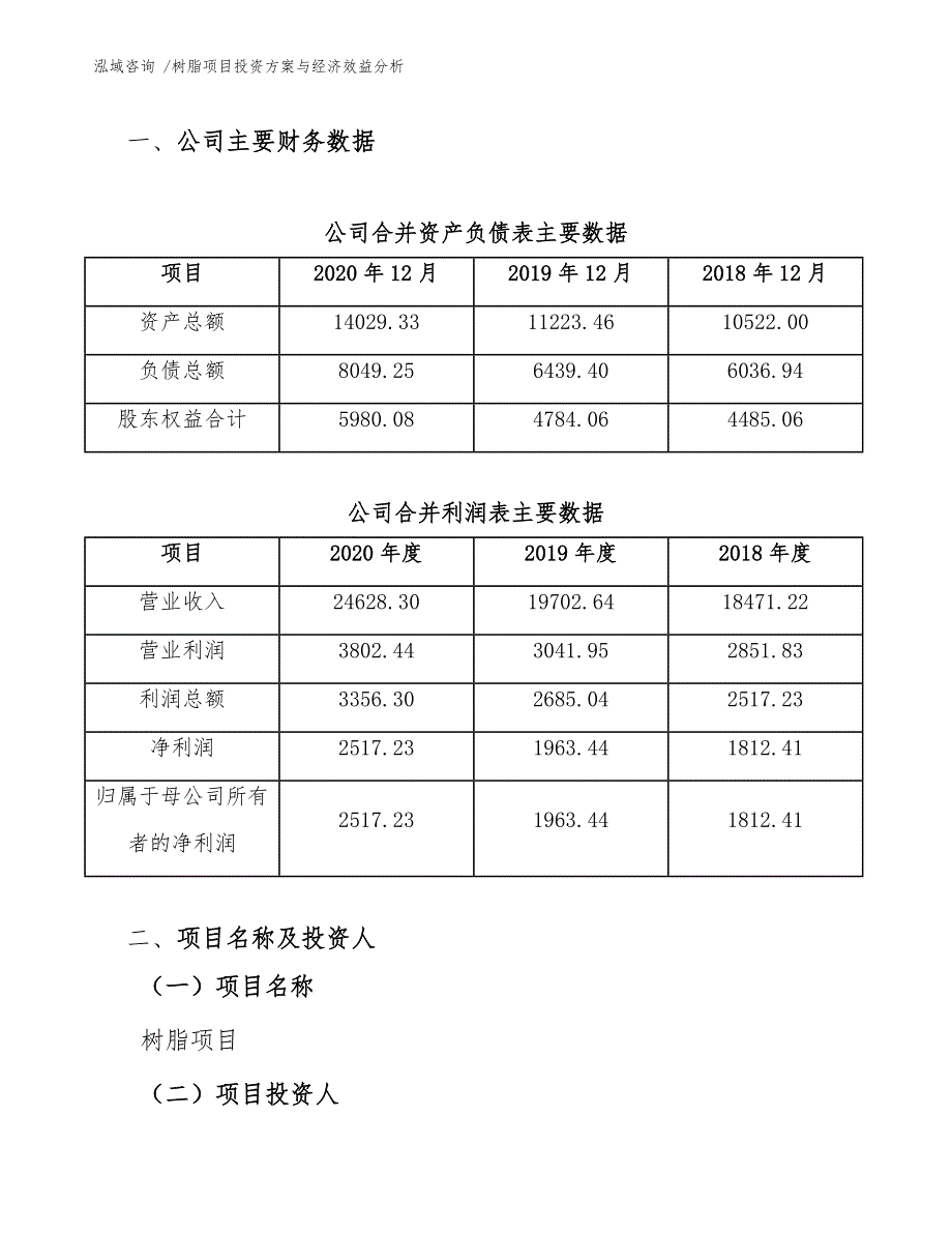 树脂项目投资方案与经济效益分析-范文模板_第4页