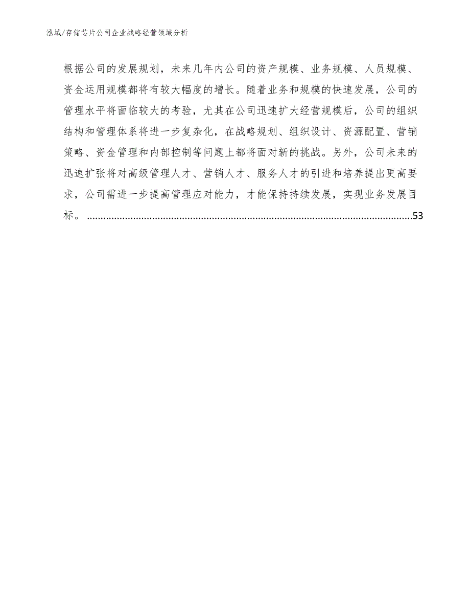 存储芯片公司企业战略经营领域分析_范文_第2页