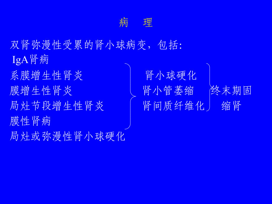 慢性肾小球肾炎特点课件_第3页