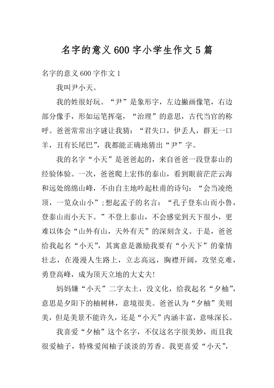名字的意义600字小学生作文5篇例文_第1页