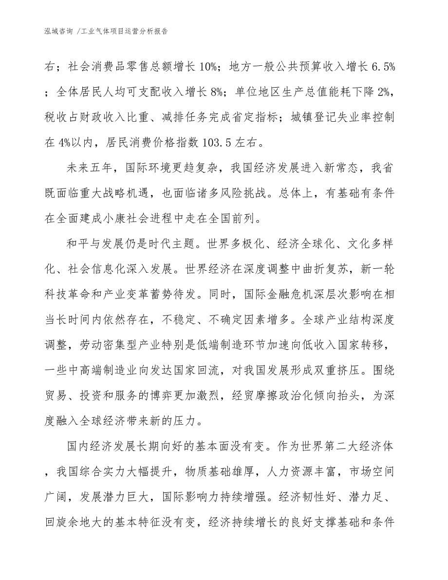 工业气体项目运营分析报告（模板参考）_第5页