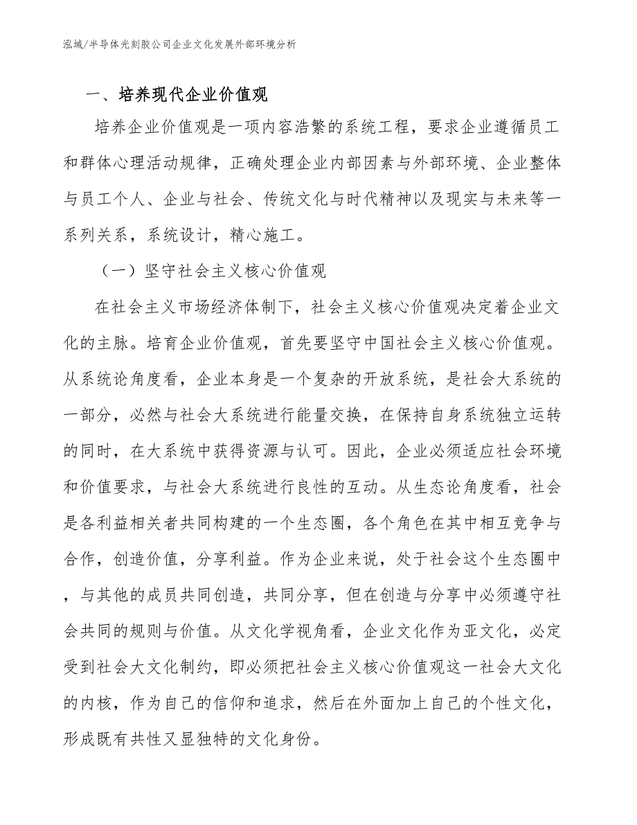 半导体光刻胶公司企业文化发展外部环境分析（范文）_第2页