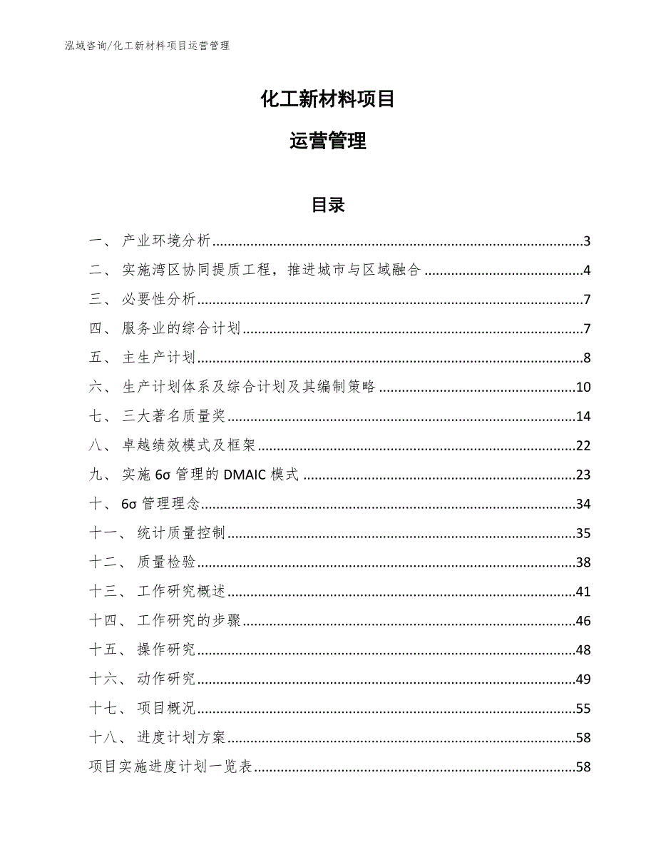 化工新材料项目运营管理分析_第1页