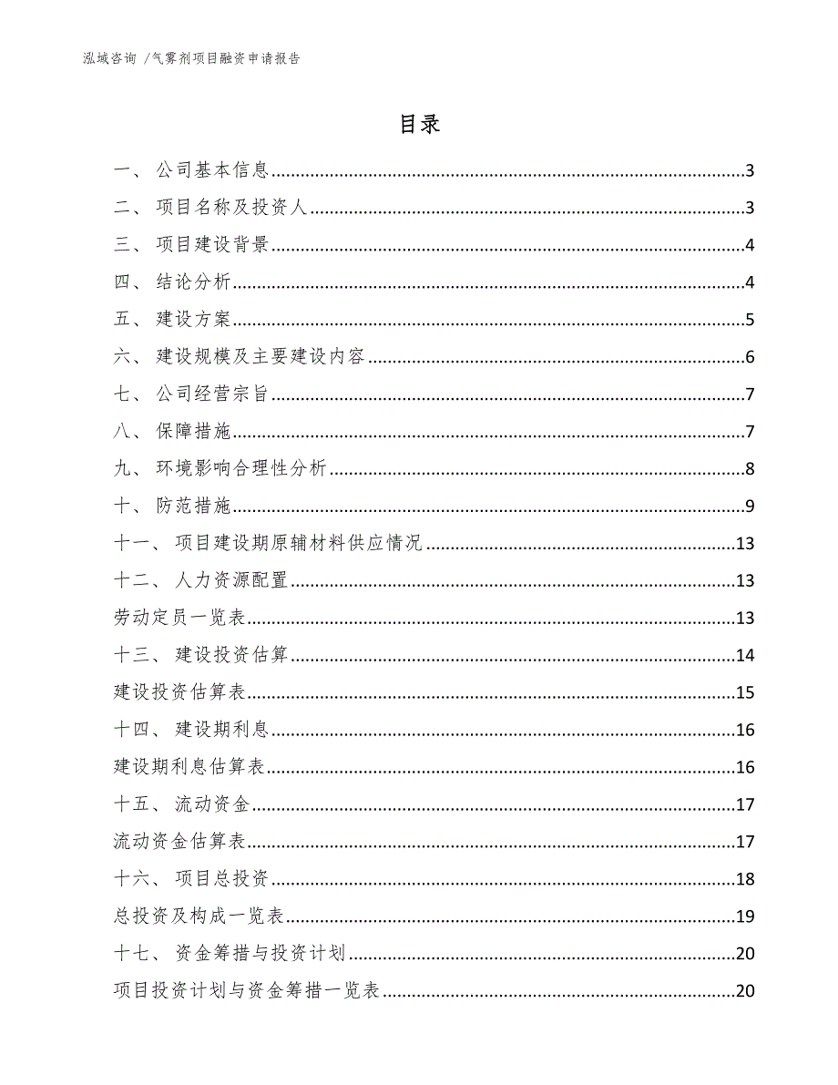 气雾剂项目融资申请报告_第1页