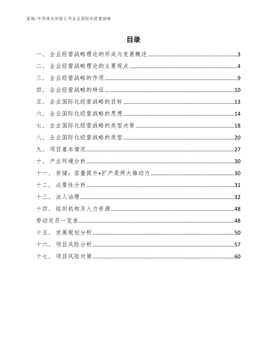 半导体光刻胶公司企业国际化经营战略（参考）_第2页