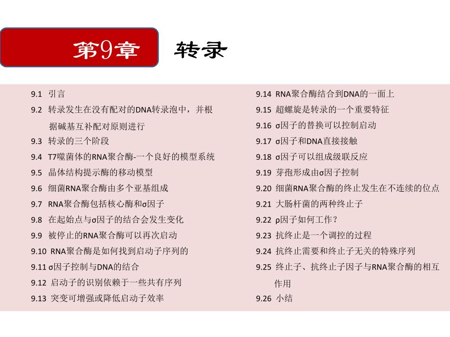 T噬菌体的RNA聚合酶课件_第1页