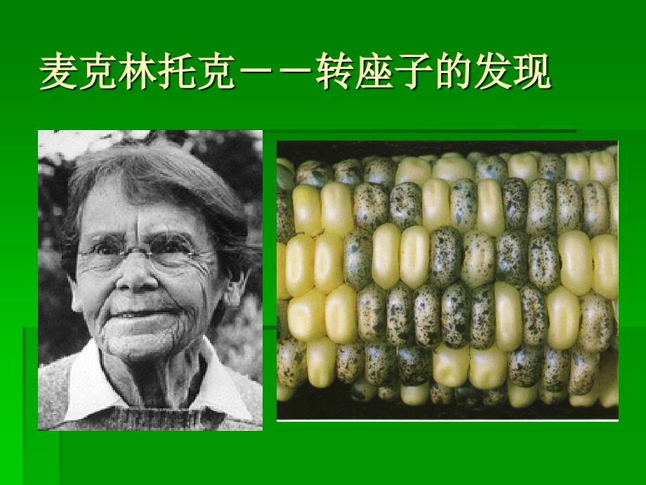 第十二章-转座子课件_第1页