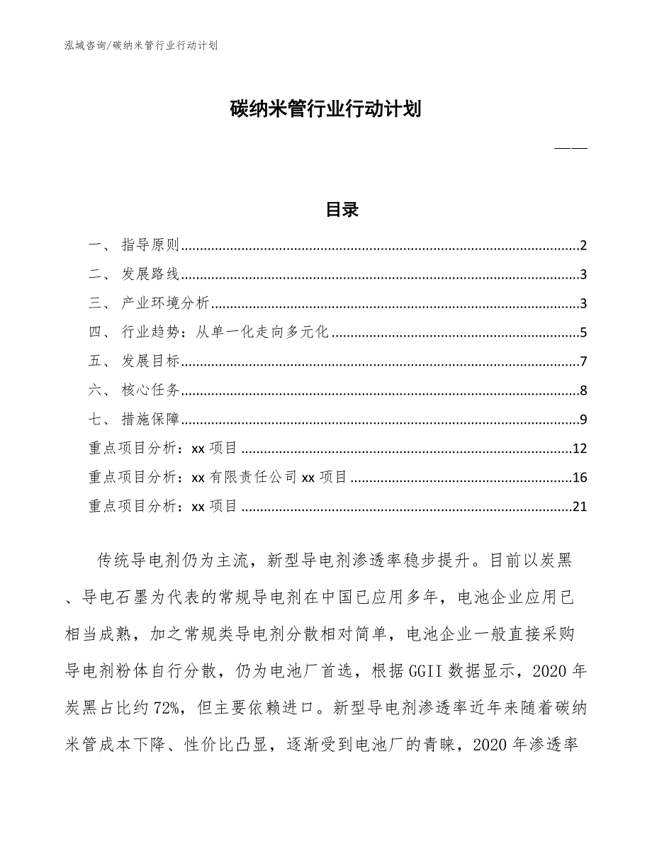 碳纳米管行业行动计划（审阅稿）_第1页
