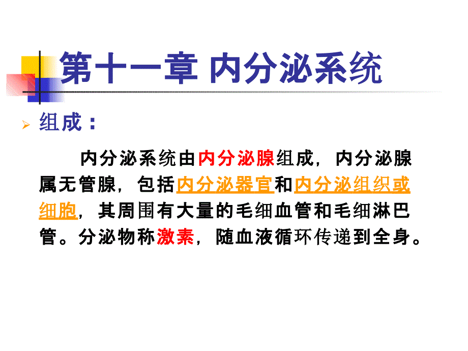 畜禽解剖学-内分泌系统课件_第1页