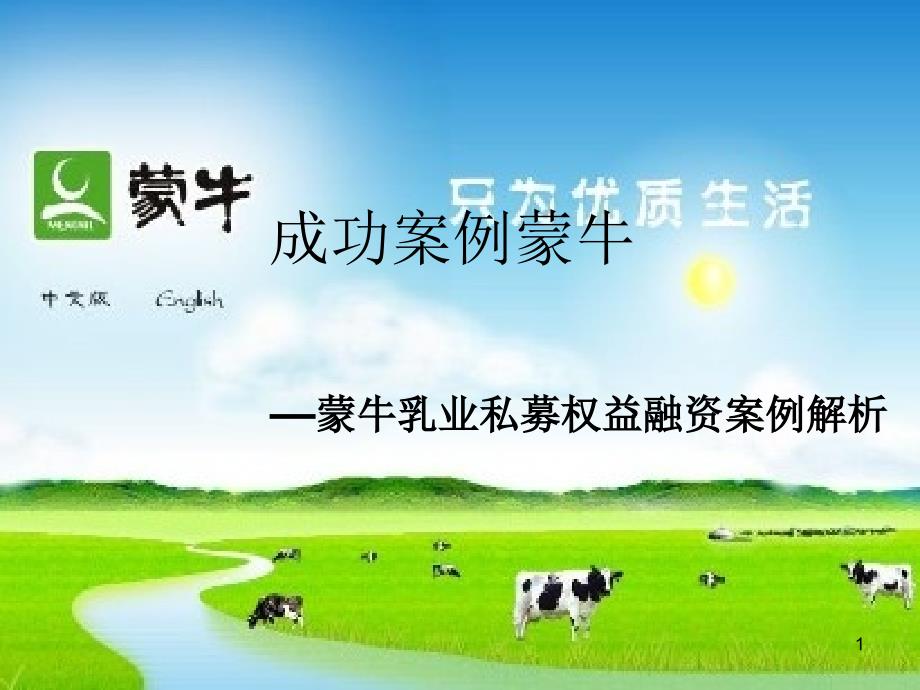 融资案例分析课件_第1页