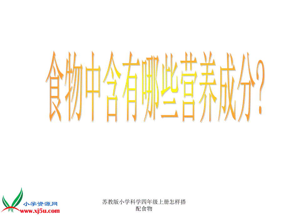 苏教版小学科学四年级上册怎样搭配食物_第2页