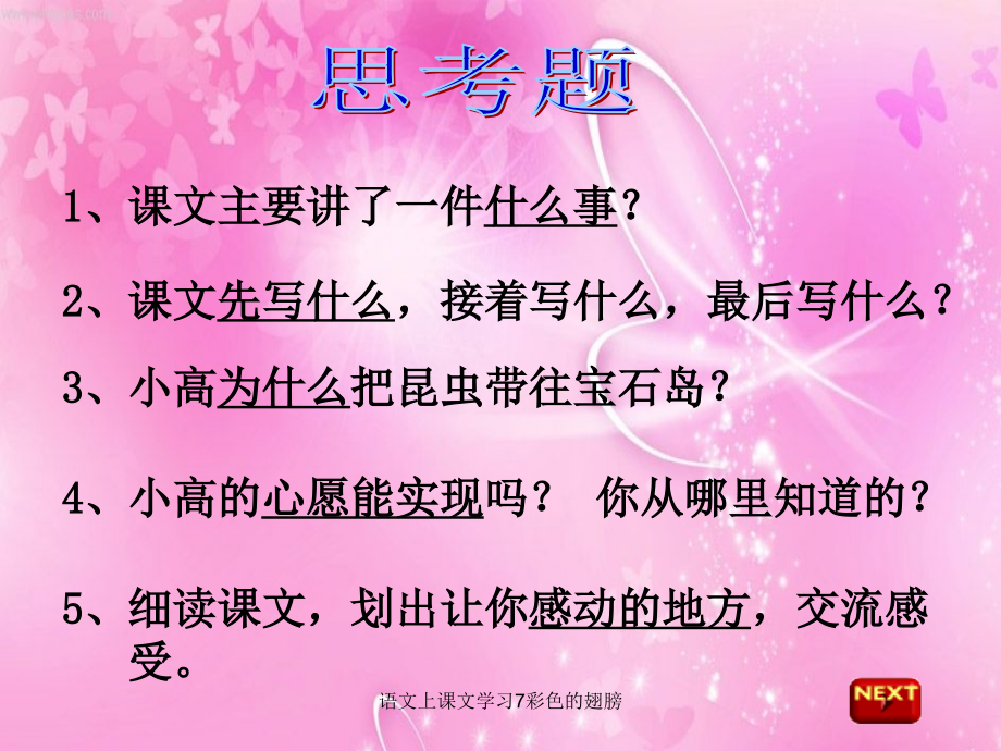 语文上课文学习7彩色的翅膀_第3页