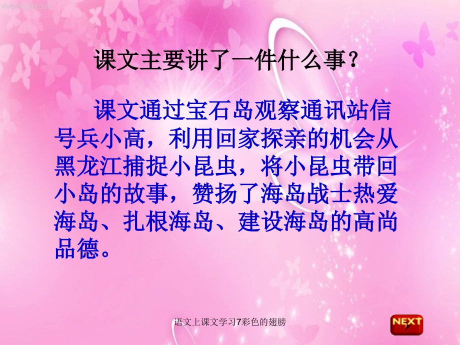 语文上课文学习7彩色的翅膀_第4页