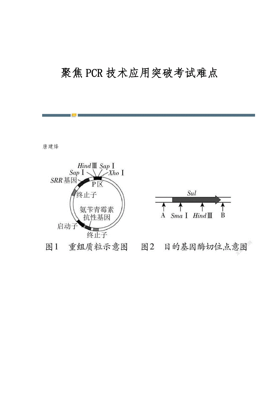 聚焦PCR技术应用突破考试难点_第1页