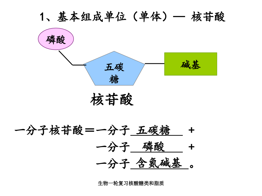 生物一轮复习核酸糖类和脂质_第3页