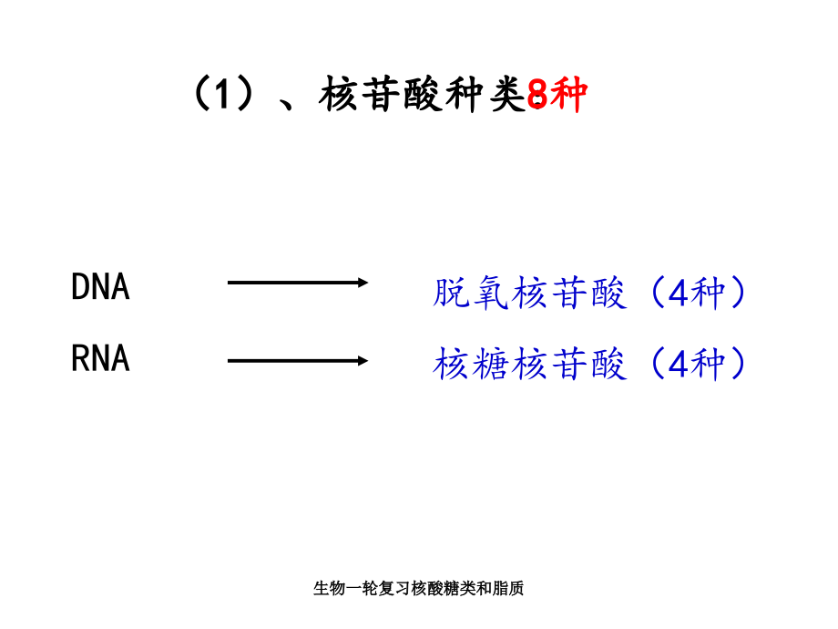 生物一轮复习核酸糖类和脂质_第4页