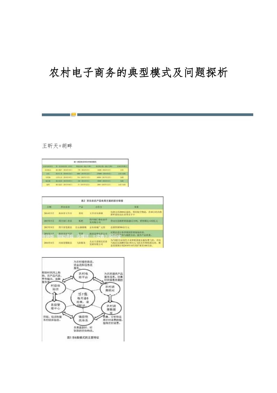 农村电子商务的典型模式及问题探析_第1页