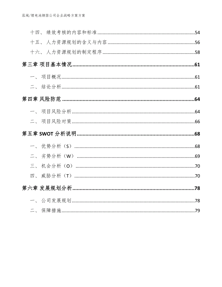 锂电池铜箔公司企业战略方案方案【范文】_第2页