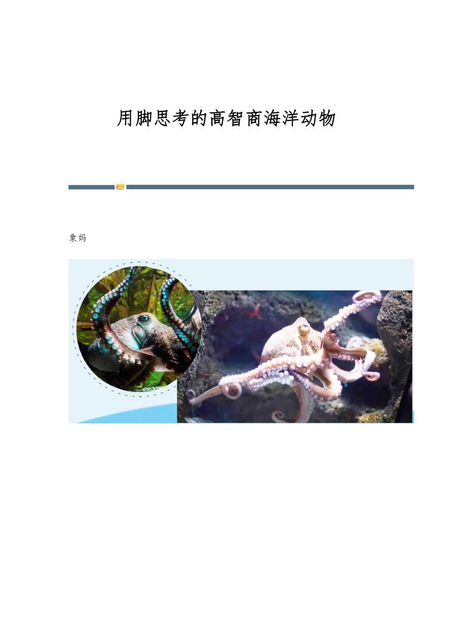 用脚思考的高智商海洋动物_第1页