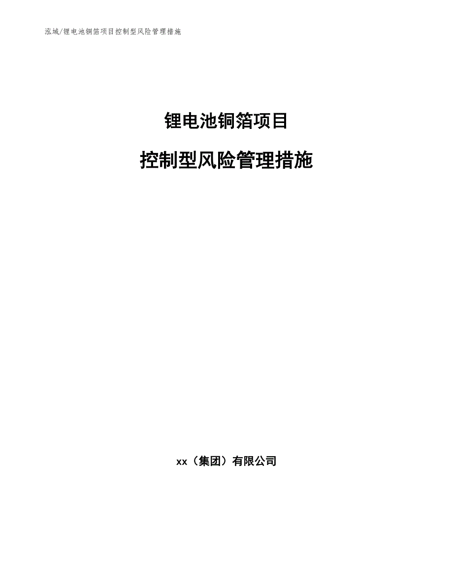 锂电池铜箔项目控制型风险管理措施（范文）_第1页