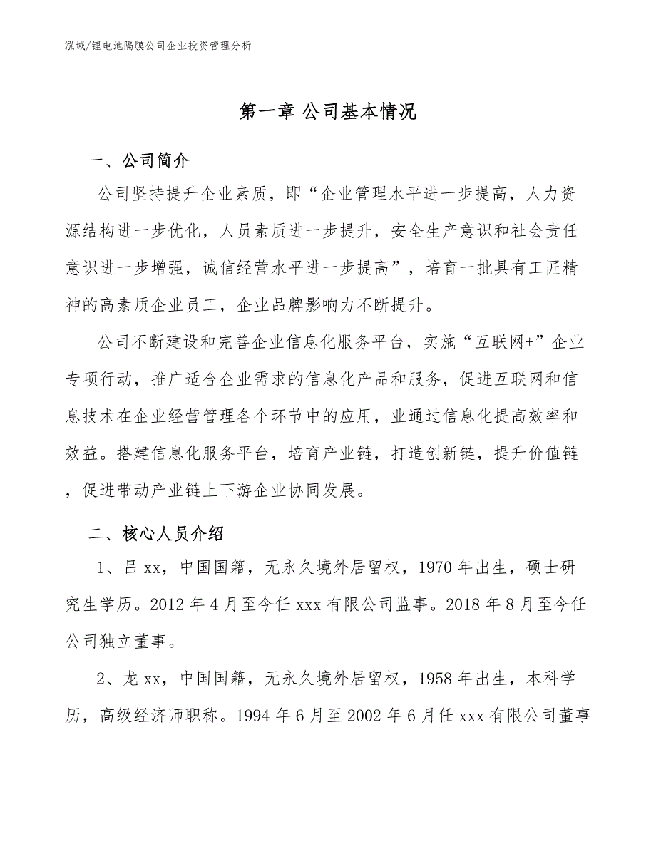 锂电池隔膜公司企业投资管理分析_范文_第4页