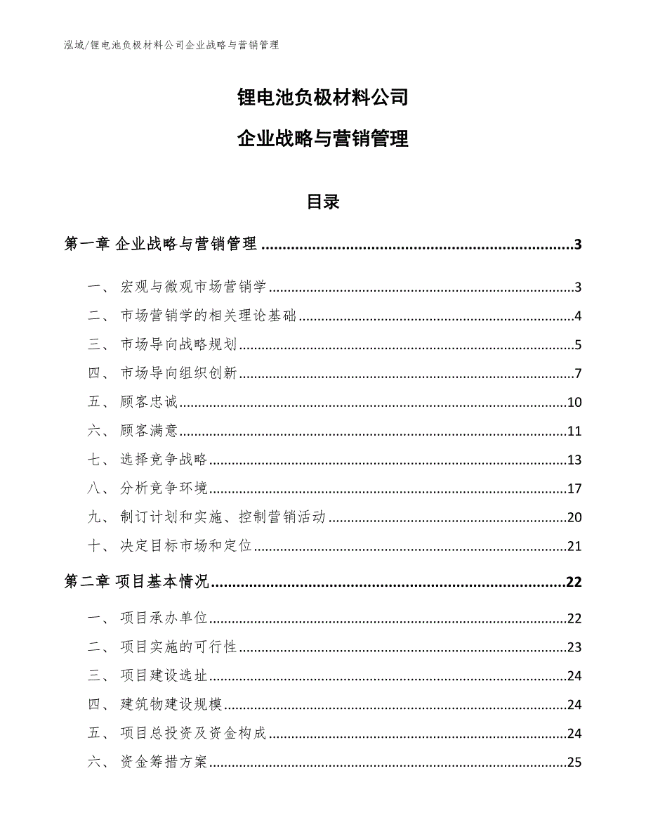 锂电池负极材料公司企业战略与营销管理_参考_第1页