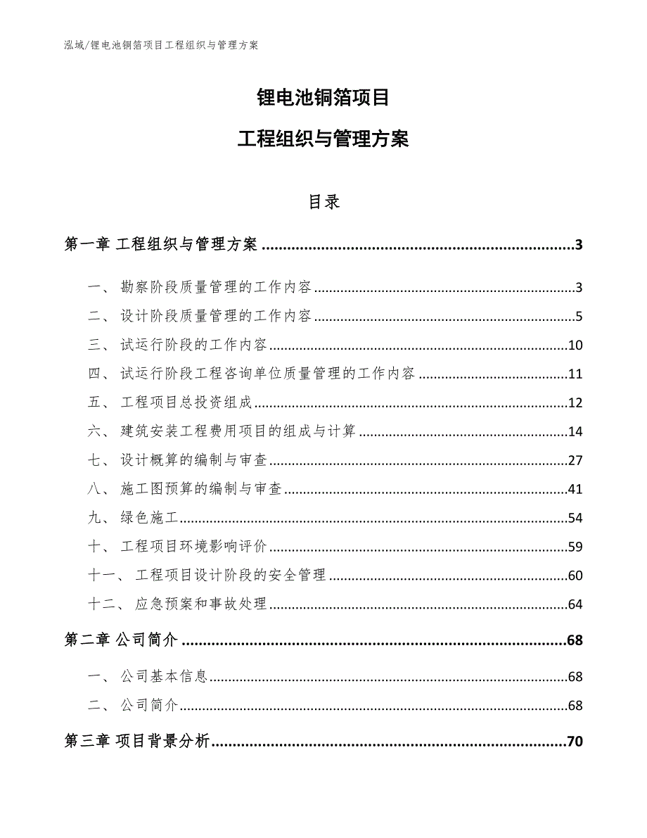 锂电池铜箔项目工程组织与管理方案【范文】_第1页