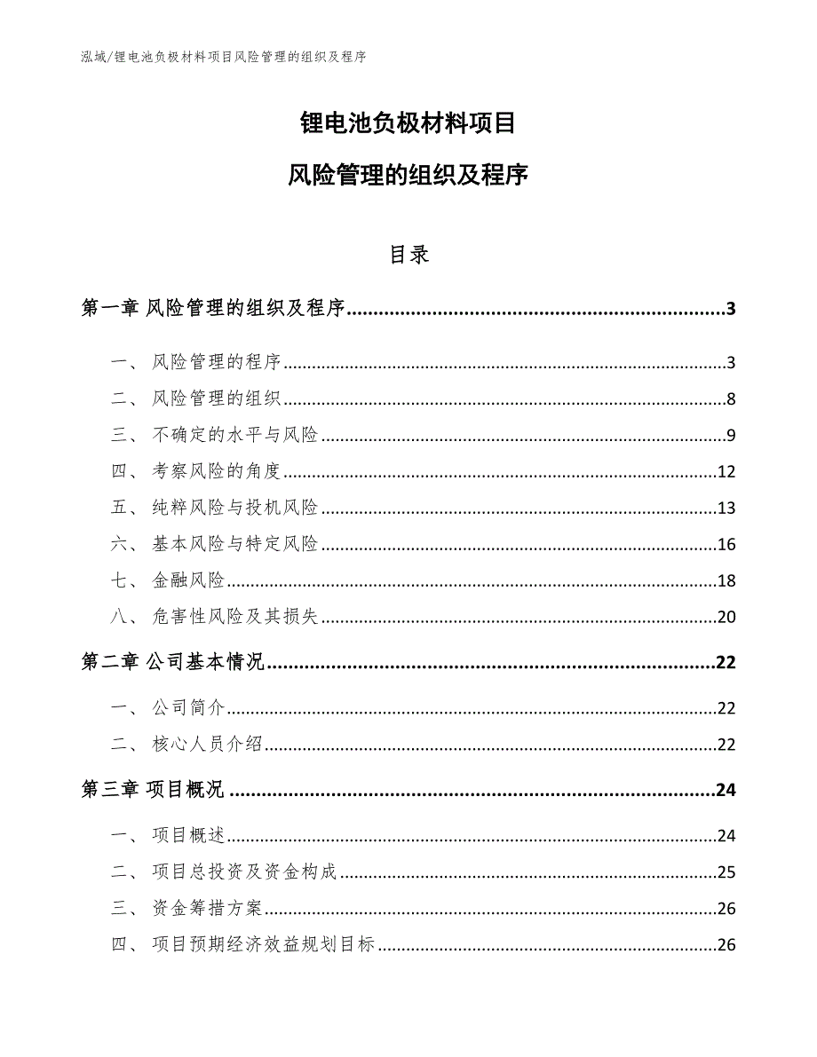 锂电池负极材料项目风险管理的组织及程序【参考】_第1页