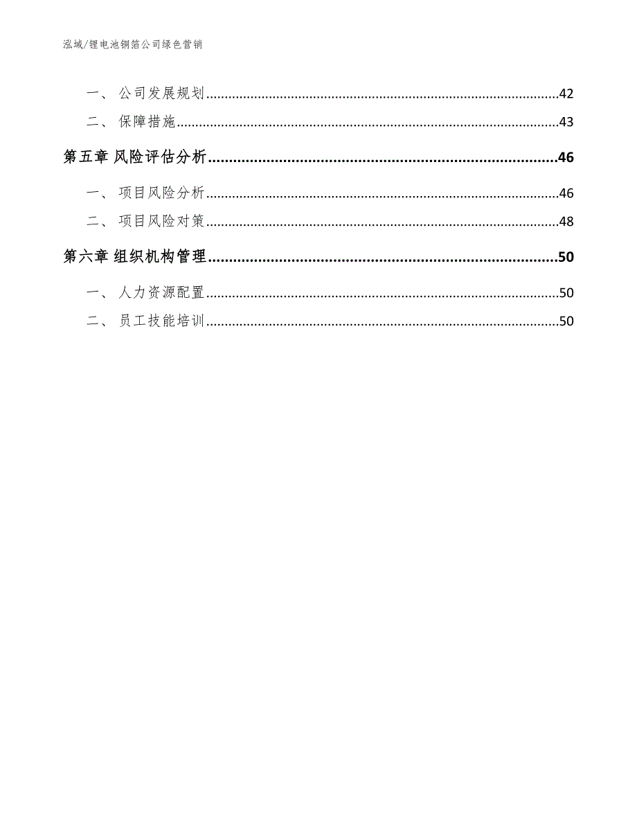 锂电池铜箔公司绿色营销【参考】_第2页