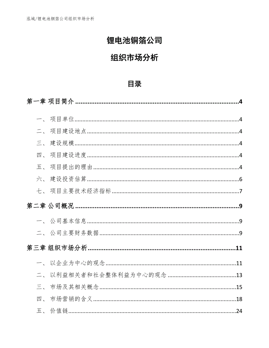 锂电池铜箔公司组织市场分析（参考）_第1页