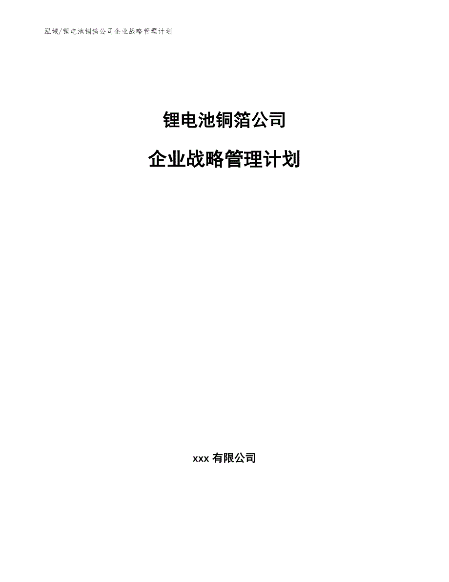 锂电池铜箔公司企业战略管理计划（范文）_第1页