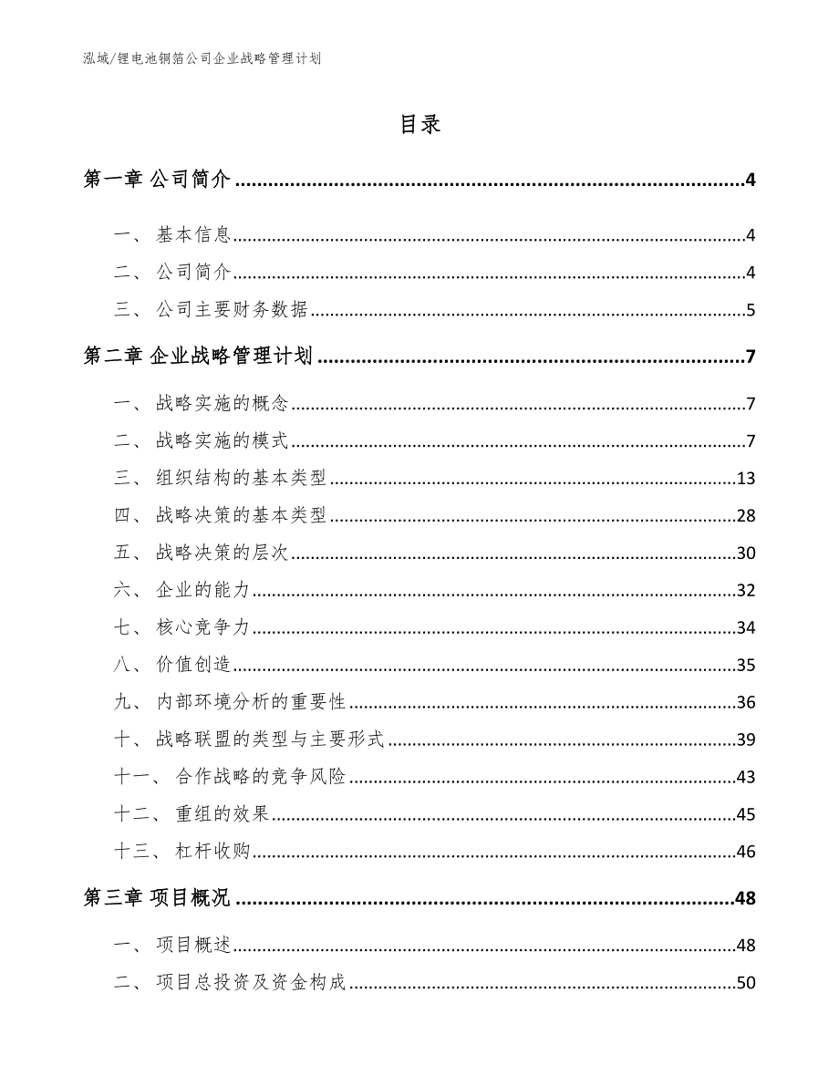 锂电池铜箔公司企业战略管理计划（范文）_第2页