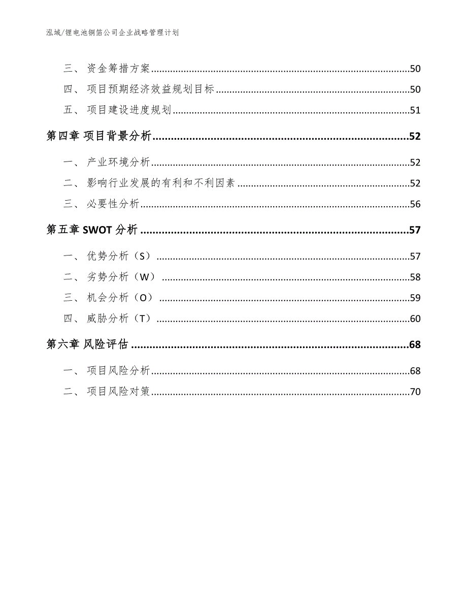 锂电池铜箔公司企业战略管理计划（范文）_第3页