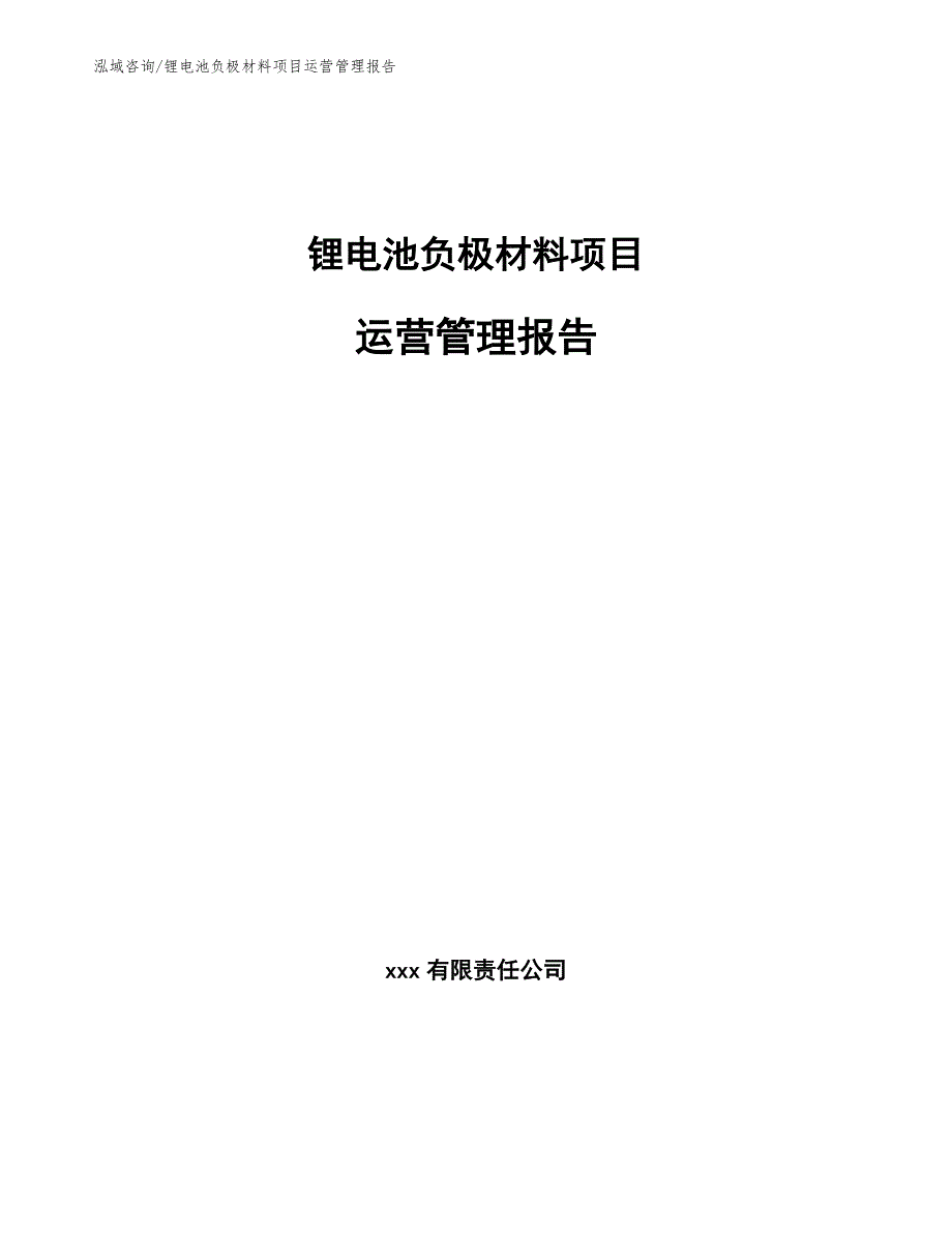 锂电池负极材料项目运营管理报告_第1页