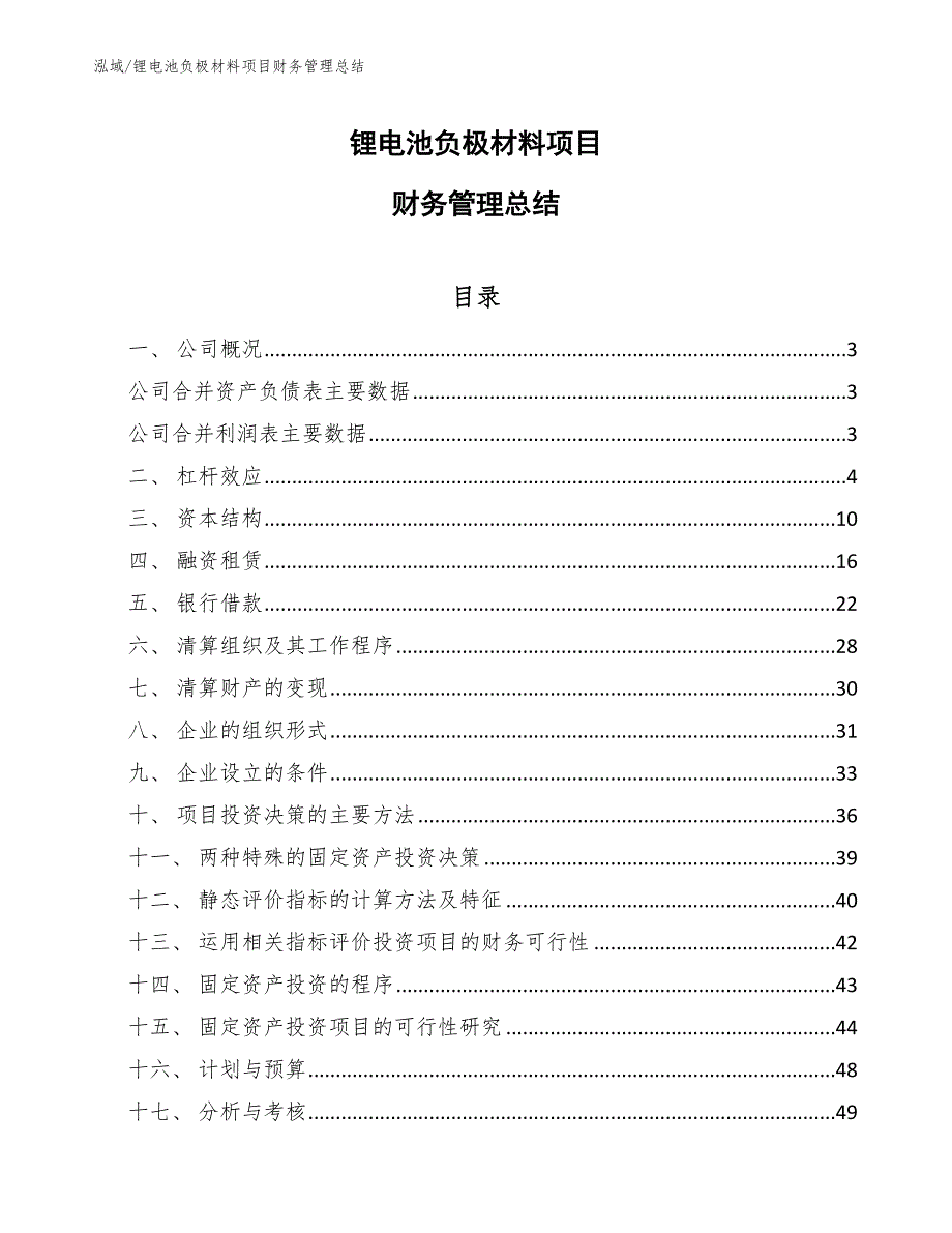 锂电池负极材料项目财务管理总结_第1页