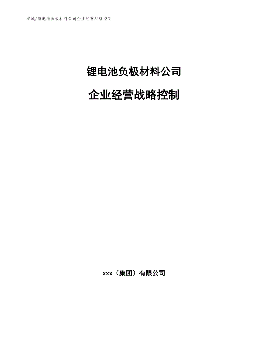 锂电池负极材料公司企业经营战略控制【参考】_第1页