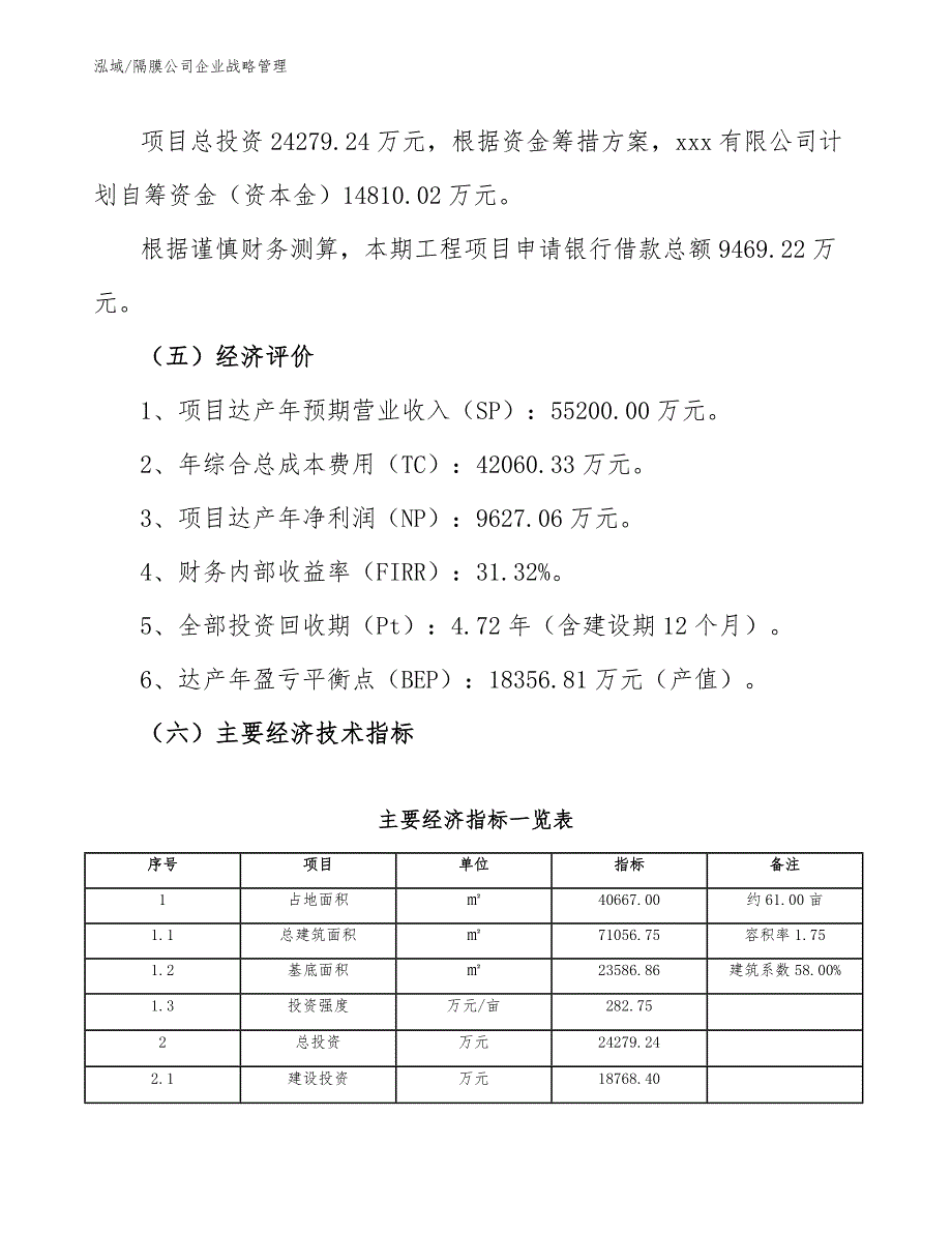 隔膜公司企业战略管理（参考）_第4页