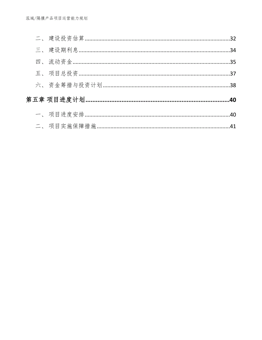 隔膜产品项目运营能力规划_第3页