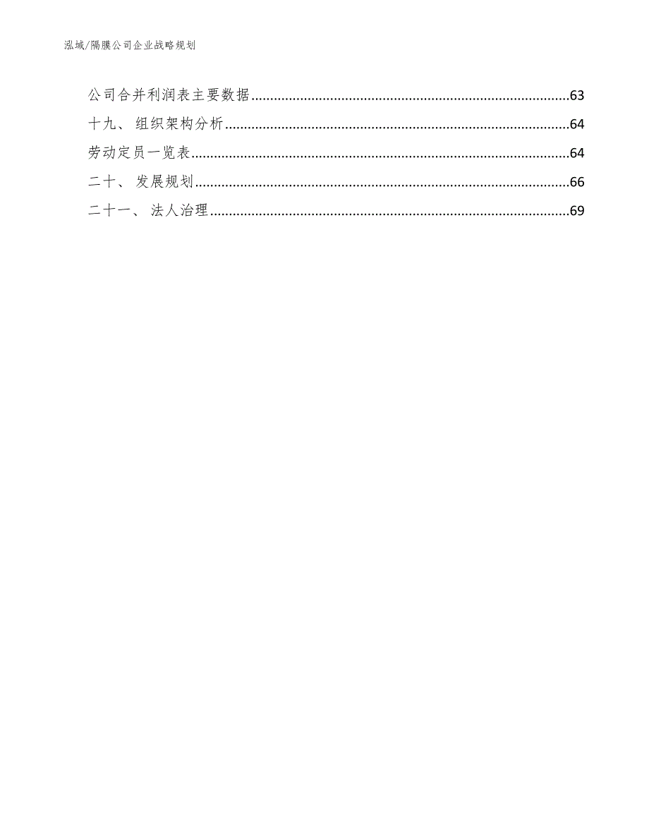 隔膜公司企业战略规划_范文_第2页